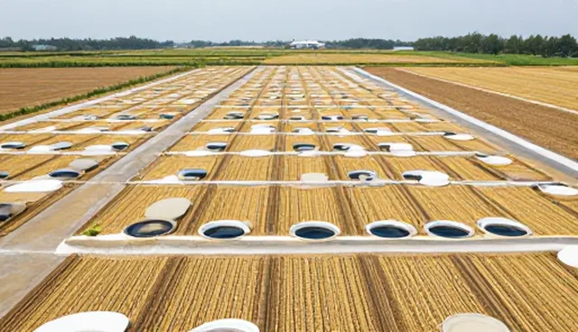 技术驱动下的质量检测体系构建与性能适配